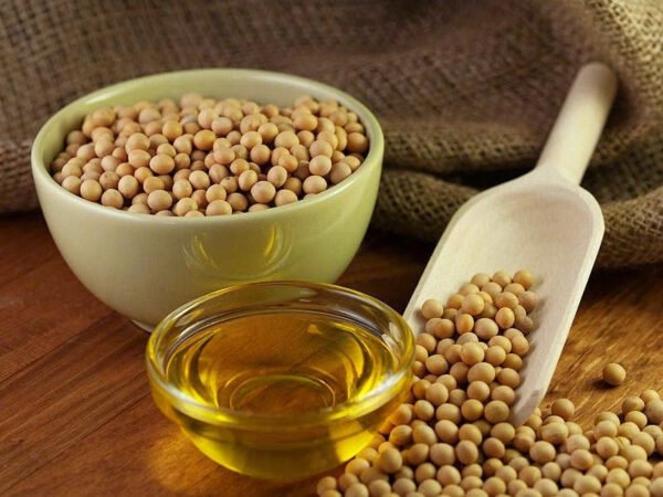 Refined Soybean Oil for Sale
