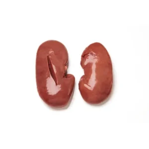 Wholesale Frozen Pork Kidneys