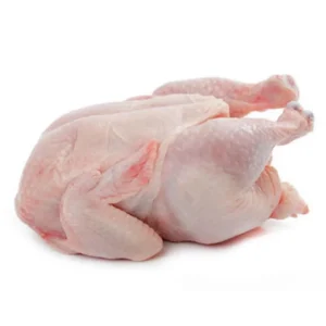 Wholesale Halal Frozen Whole Chicken