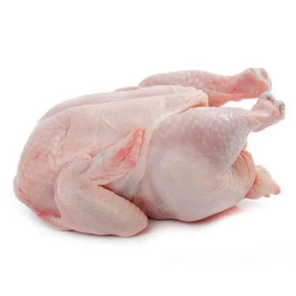 Wholesale Halal Frozen Whole Chicken
