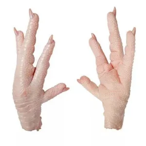 Wholesale Frozen Chicken Paws