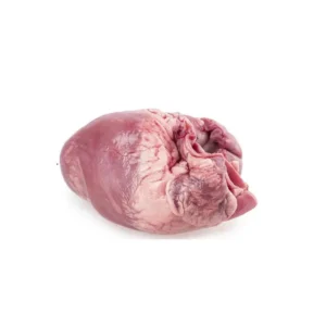 Wholesale Frozen Pork Heart