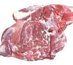 Wholesale HALAL Frozen Buffalo Forequarter
